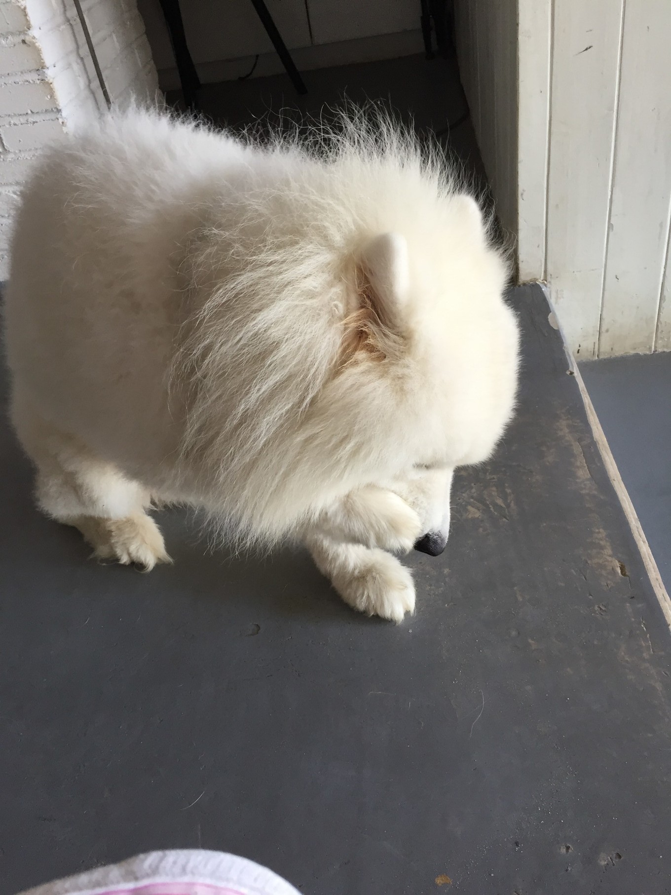 说走就走的三亚行,一场说走就走的三亚之旅