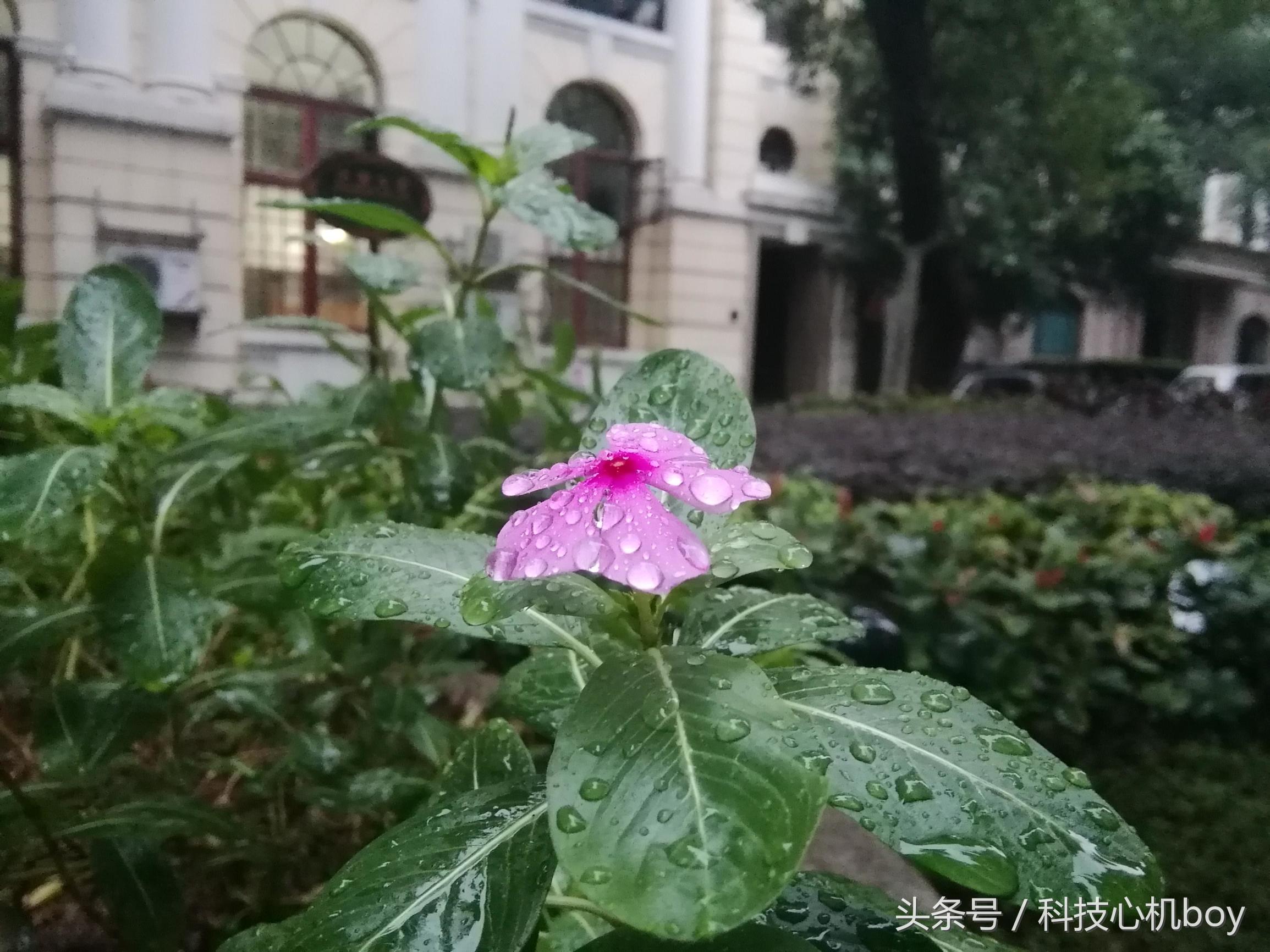 华为nova8pro和光荣m3哪个好,华为mate40e和光荣m3选哪个