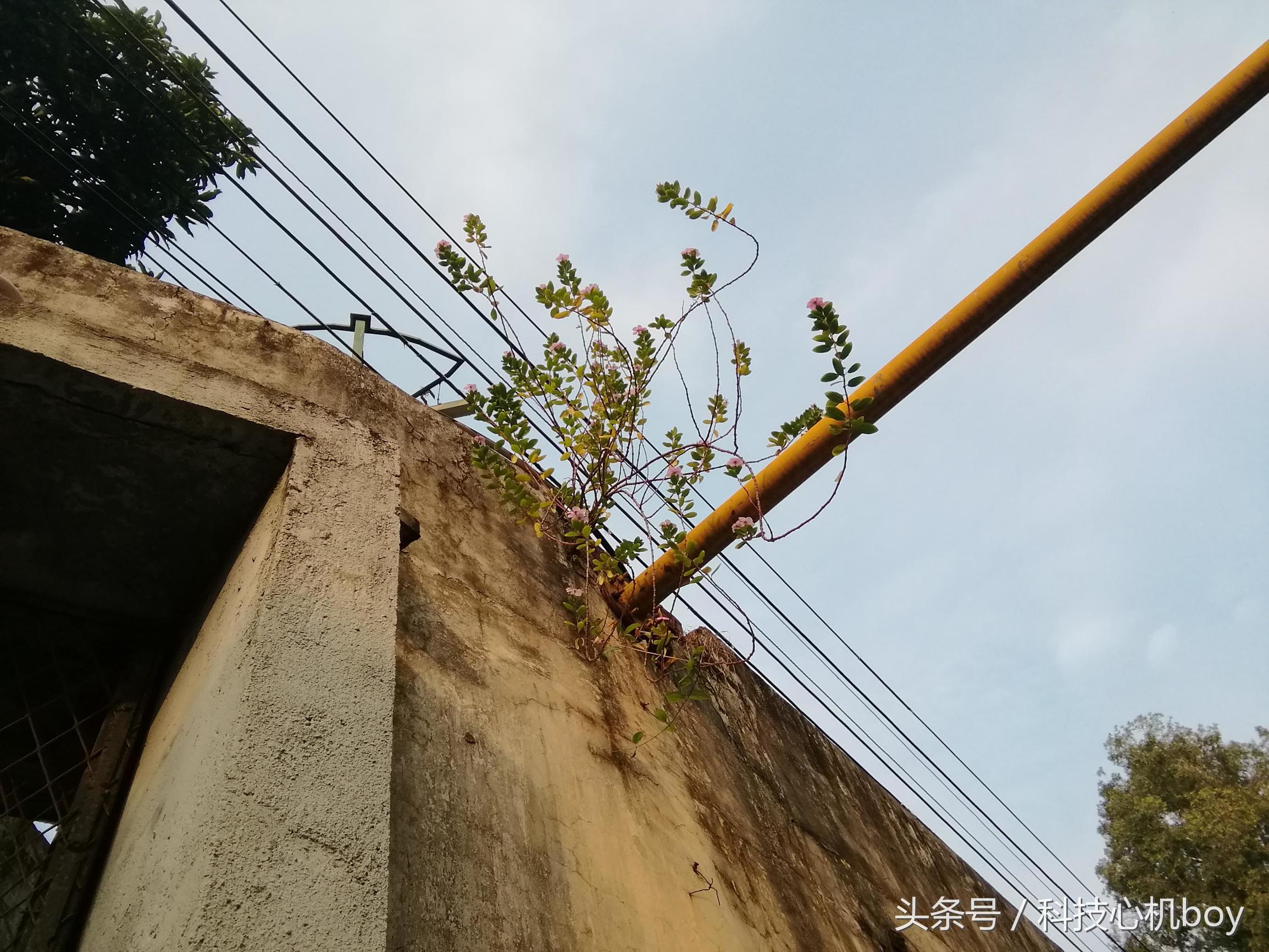 华为nova8pro和光荣m3哪个好,华为mate40e和光荣m3选哪个