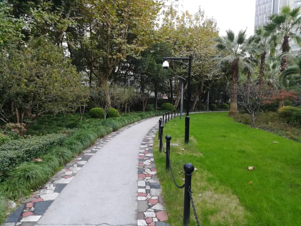 光荣畅玩6x值得购买吗,光荣畅玩6x开箱图赏