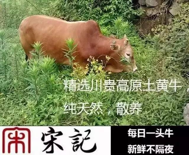 最近潮汕牛肉火锅,潮汕牛肉火锅的未来