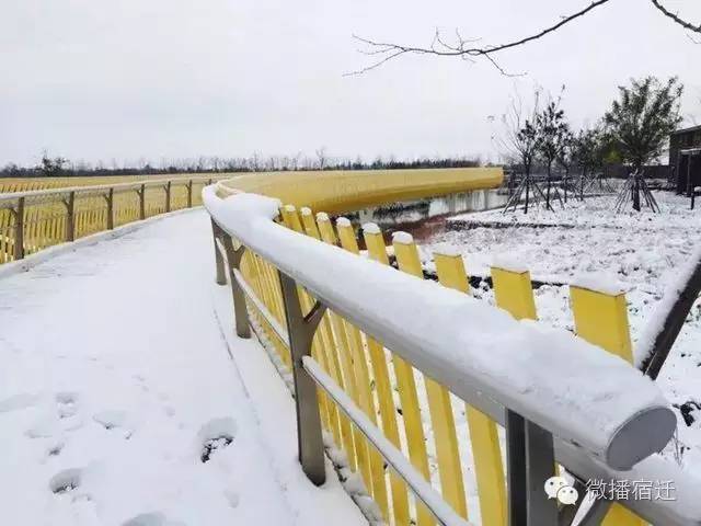 雪中宿迁，素颜都美到窒息！