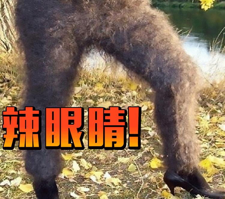 还在穿秋裤？这里有10个保暖又貌美的连裤袜品牌