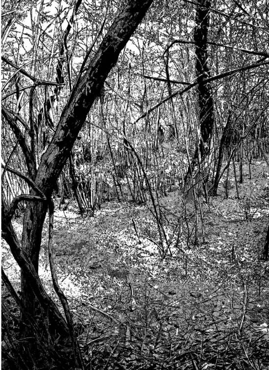 漫威丧尸英雄漫画4章,末世丧尸漫画超长