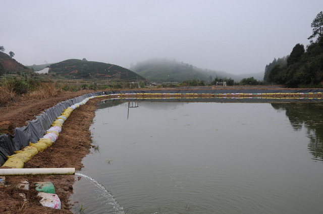 一亩池塘一年能赚多少钱,一亩鱼塘赚一万元