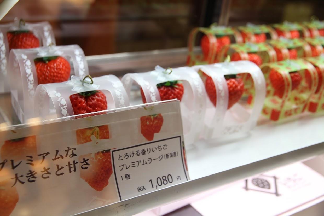 手绘旅行日记四年级图文,手绘研学旅行日记