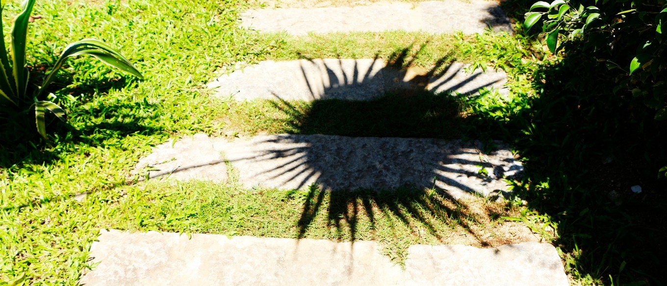 说走就走的三亚行,一场说走就走的三亚之旅