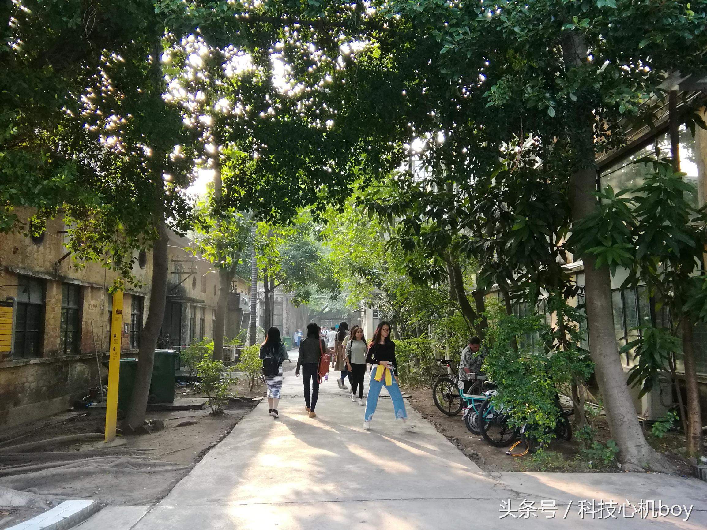 华为nova8pro和光荣m3哪个好,华为mate40e和光荣m3选哪个