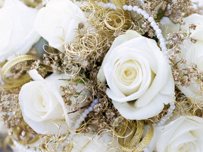 玫瑰各种颜色花语和寓意,玫瑰各个颜色花语及寓意是什么