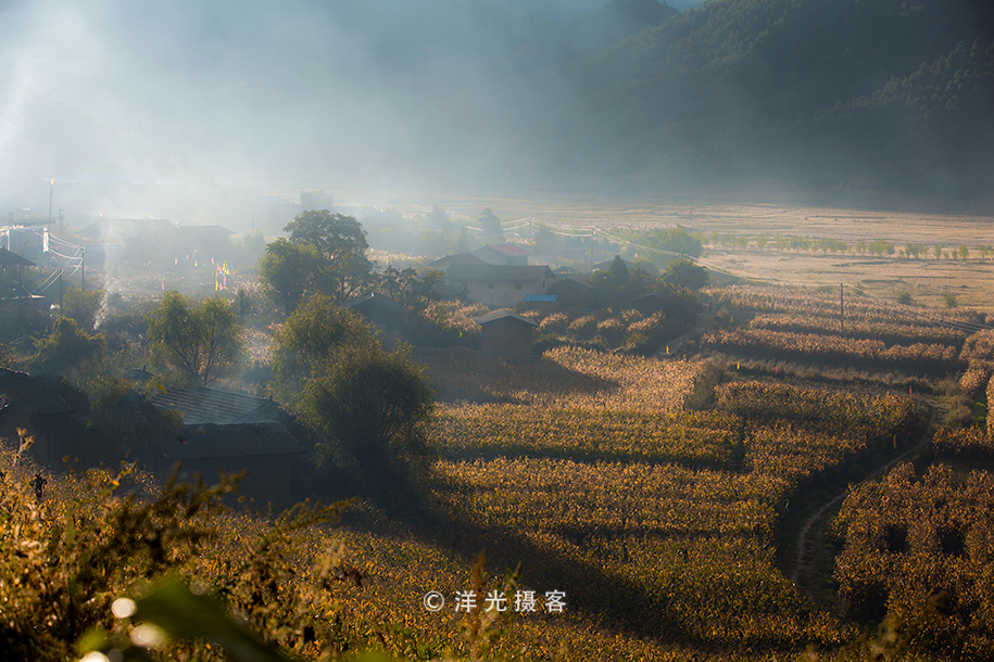 这个民族的祖先因战败被迫流离失所，却创造出世界上独一无二奇迹