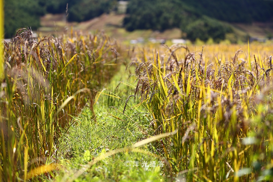 这个民族的祖先因战败被迫流离失所，却创造出世界上独一无二奇迹