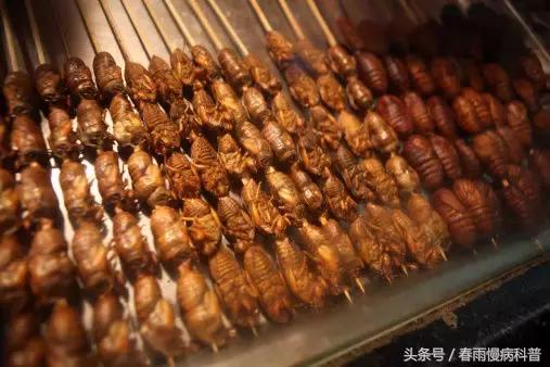 蝉蛹和什么一起吃会中毒,吃蝉蛹会胀肚吗