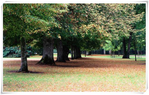 环游法国卢瓦尔河谷 (法国卢瓦河谷旅游攻略)