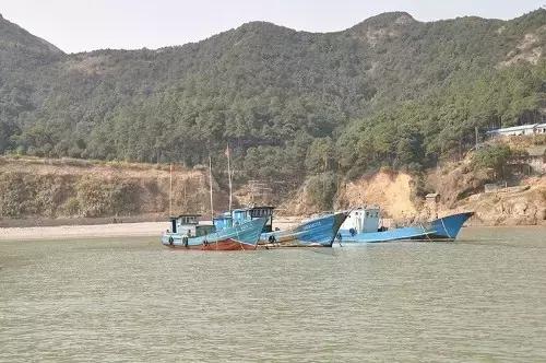 宁波大自然美轮美奂的风景,宁波最美森林