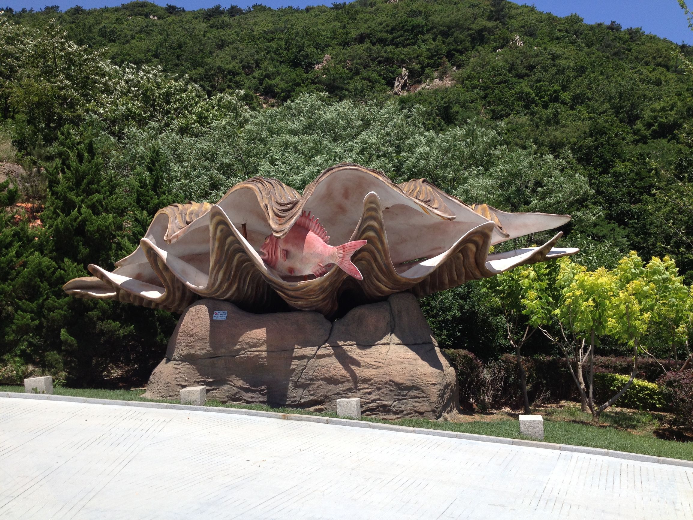 大连景区旅游攻略十大必去景点,大连金州区炮台镇有哪些景区
