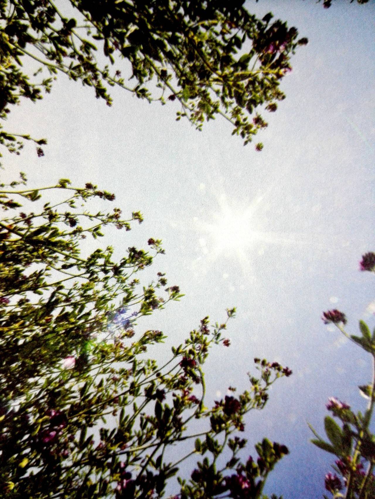 2015年夏季20本重点书