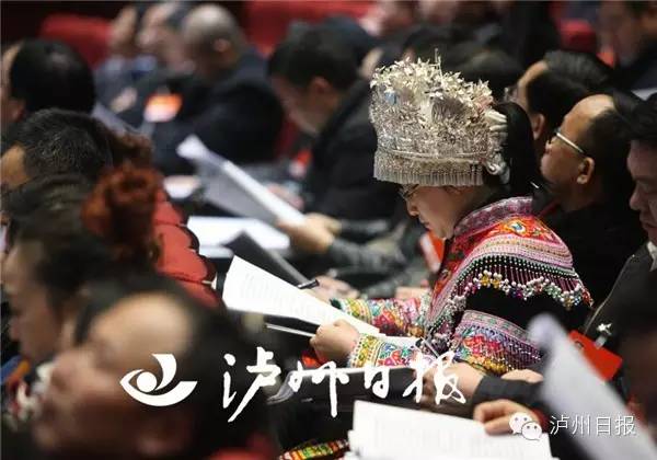 政协委员的两会声音,政协委员的声音