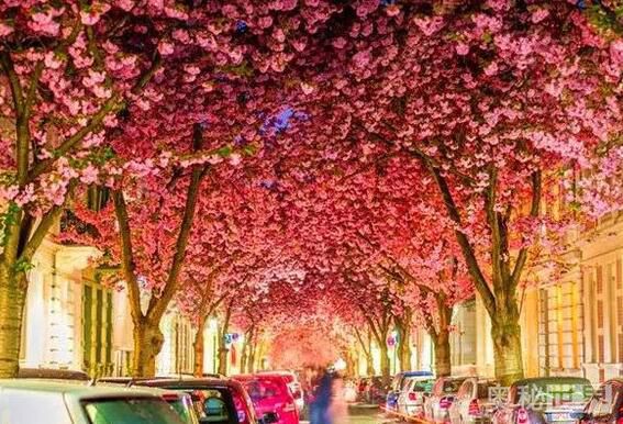 世界上最美的地方,世界上最美的地方是什么样的