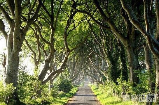 世界上最美的地方,世界上最美的地方是什么样的