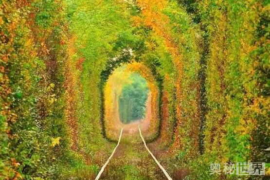 世界上最美的地方,世界上最美的地方是什么样的