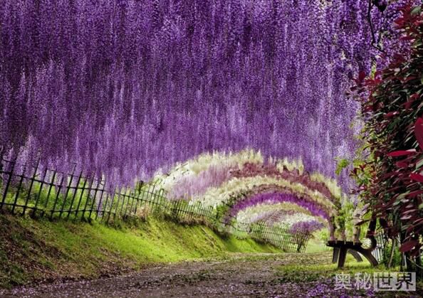 世界上最美的地方,世界上最美的地方是什么样的