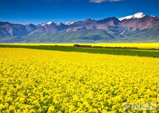 世界上最美的地方,世界上最美的地方是什么样的