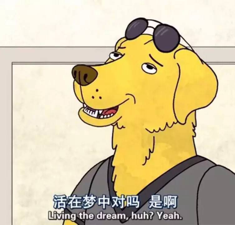 男子发现致富新门路后续,杭州男子想一夜暴富