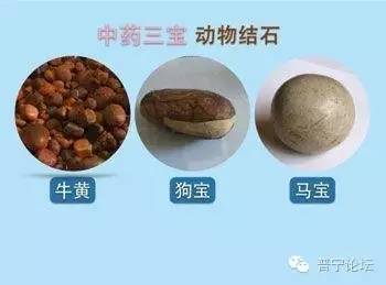 杀鸡发现鸡宝价值千万,宰鸡发现的鸡宝是真的吗