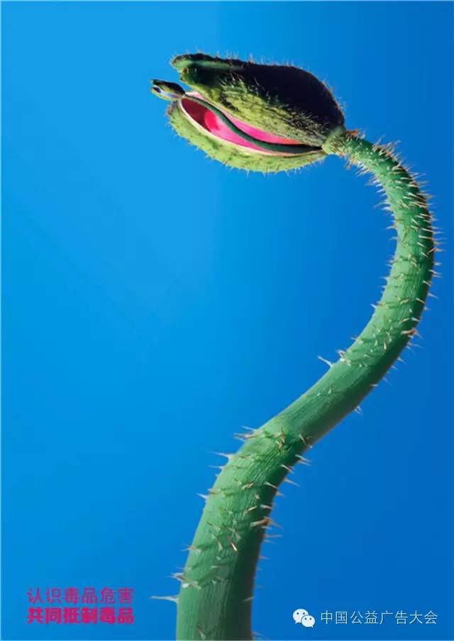 「聚焦」这些作品牛！“白兰杯”2016全国原创公益广告平面组作品精选，一次看个够！