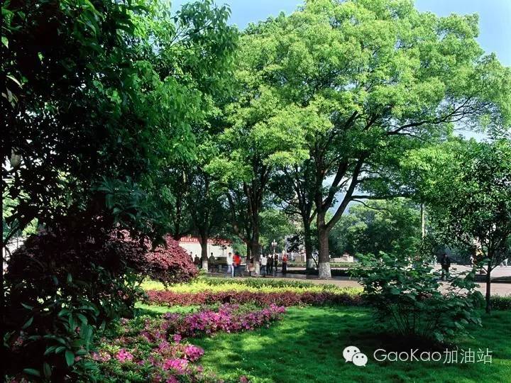 高考专区湖南大学,高考志愿怎么报湖南大学