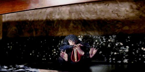 神奇动物在哪里的魔法强大点,神奇动物在哪里隐藏彩蛋