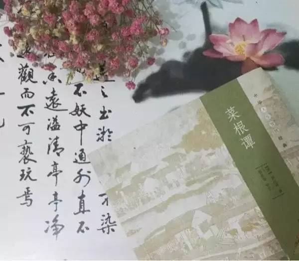 朗读菜根谭多心招祸少事为福,菜根谭多心招祸少事为福
