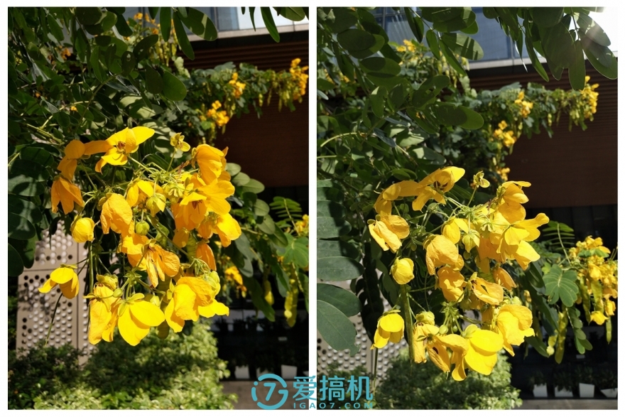 vivox9柔光双摄多少钱,vivox9plus前置柔光双摄