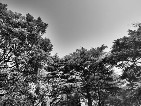 奥林巴斯epl8拍的照片,奥林巴斯epl8怎么自拍