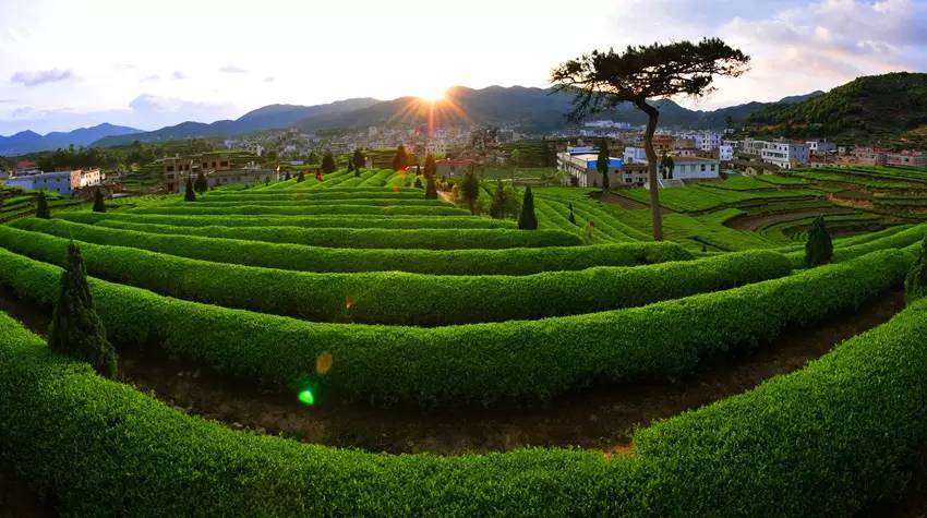 福鼎风景好的村庄,福鼎乡村旅游景点推荐