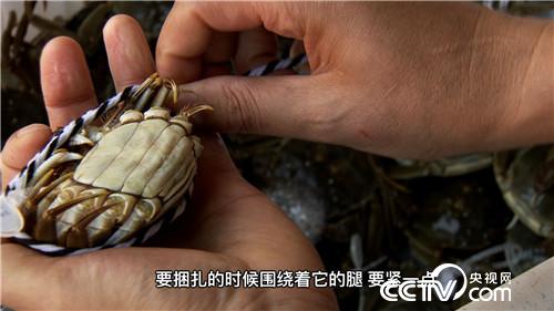 阳澄湖大闸蟹将军养殖基地,阳澄湖唯一的养蟹状元