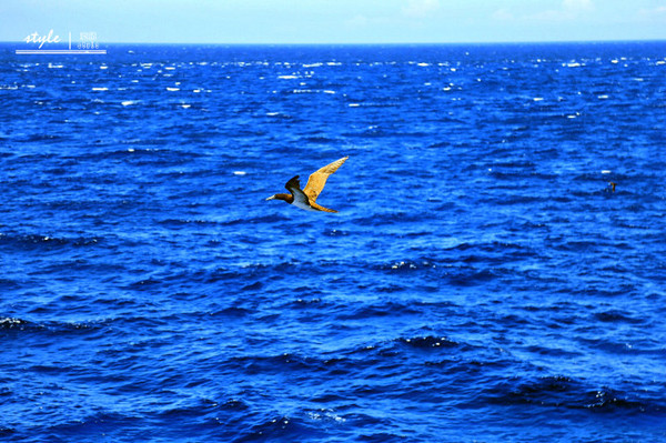 海洋神话号2018航线,海洋神话号在新加坡