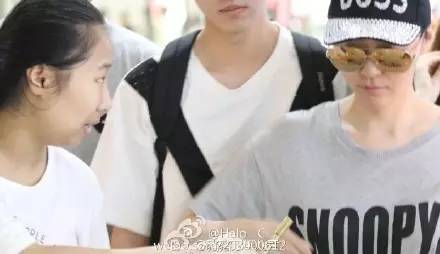 虹桥一姐追星原因,虹桥一姐追星