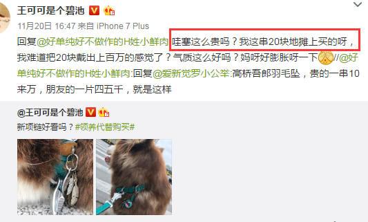 王思聪敢给王可可买这条狗链，看来是决心挑衅整个娱乐圈了