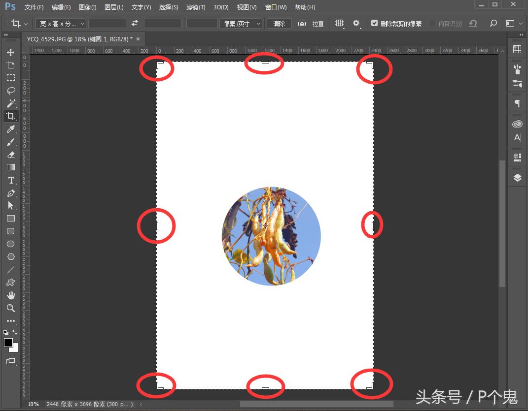 photoshopcc图像处理,adobephotoshopcc2018