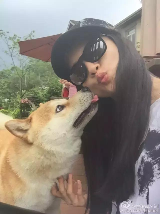 为什么很多男明星都喜欢林依晨,你们为什么喜欢林依晨