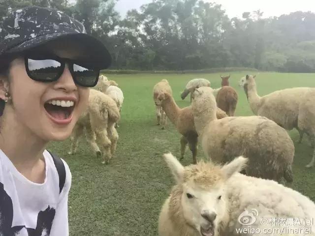 为什么很多男明星都喜欢林依晨,你们为什么喜欢林依晨