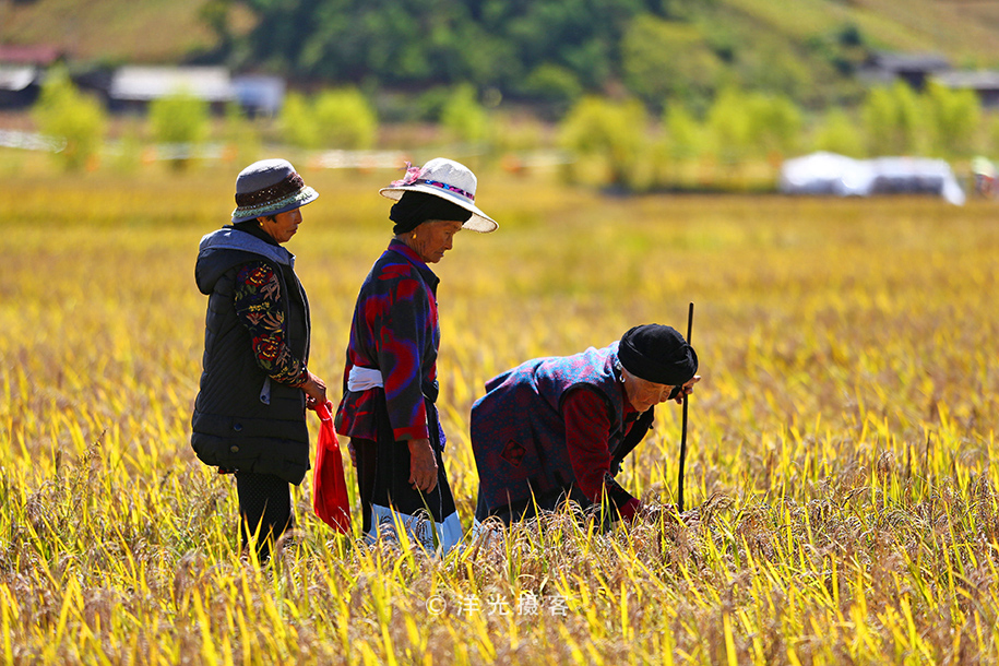 这个民族的祖先因战败被迫流离失所，却创造出世界上独一无二奇迹