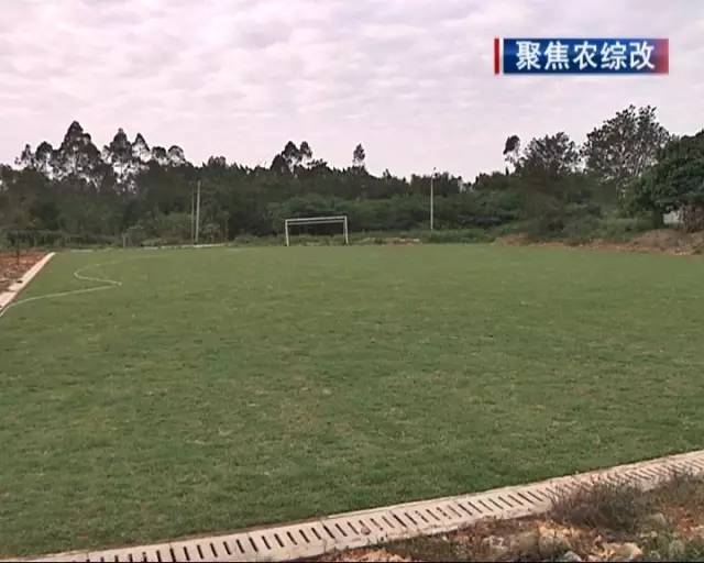 太平天下村有足球场啦，农村人也有地方踢球锻炼