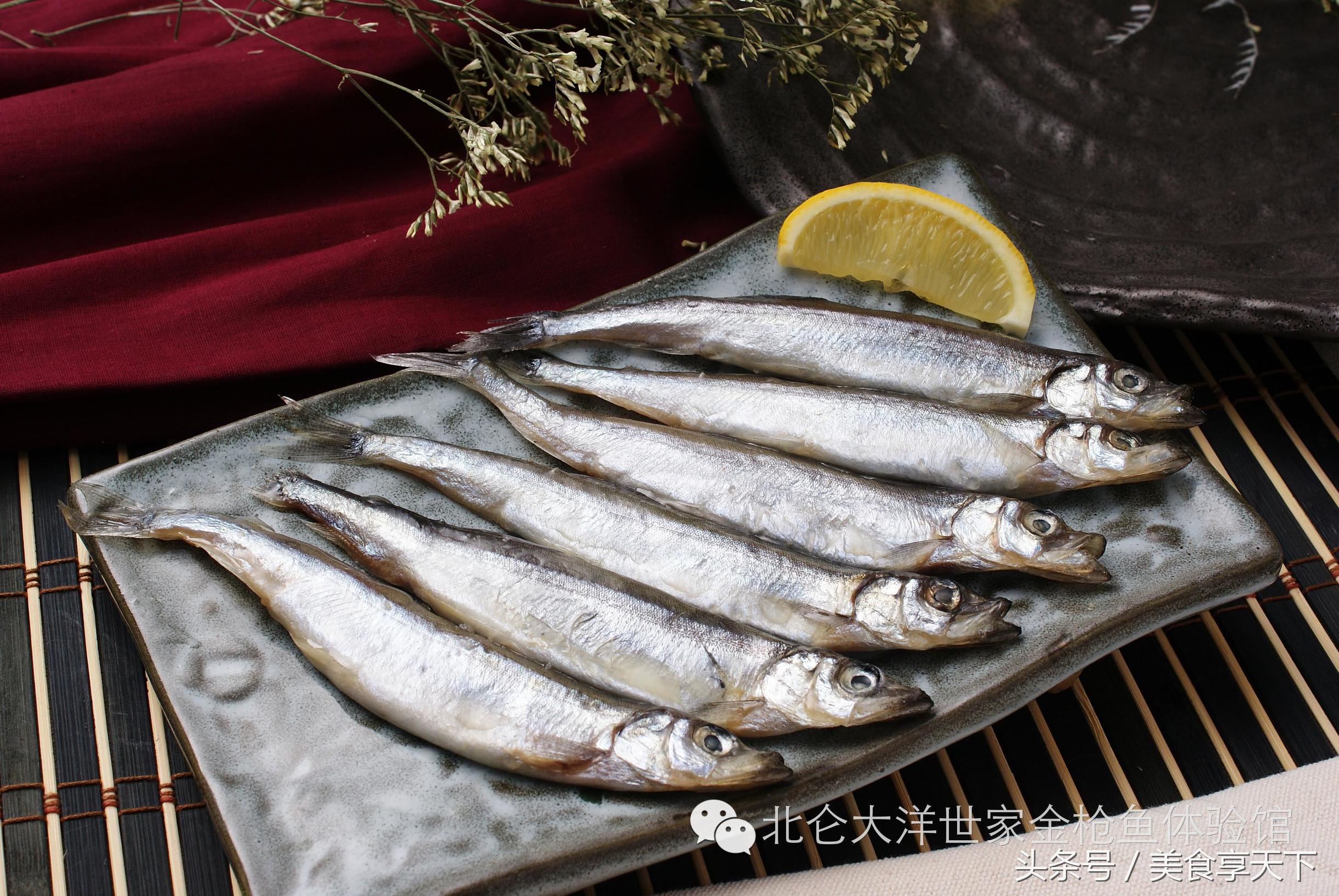 世界上顶级的鱼你认识几种,世界上你有可能没听过的十种鱼