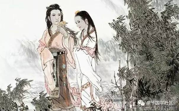 湘妃斑竹到底什么意思,湘妃竹的传说图片