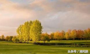 写给情侣的qq留言,qq留言情侣