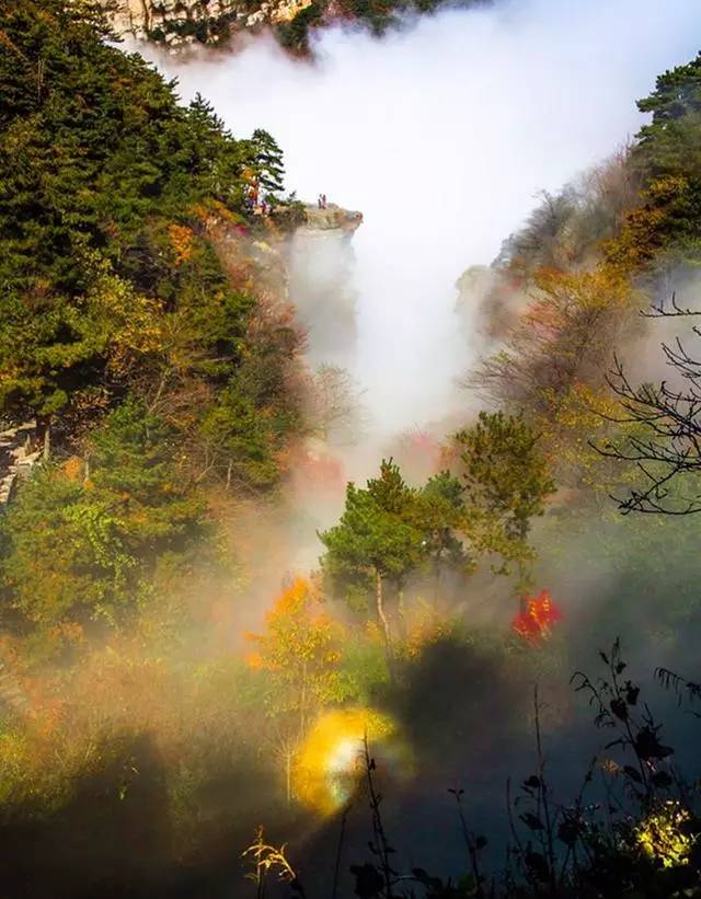 庐山情庐山恋,庐山恋背景