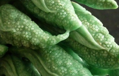 玉石图形含义,玉石上有意义图案