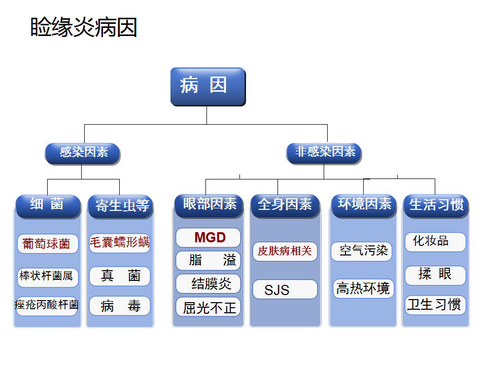 眼睑缘炎的发病原因,眼睑炎的症状和治疗方法